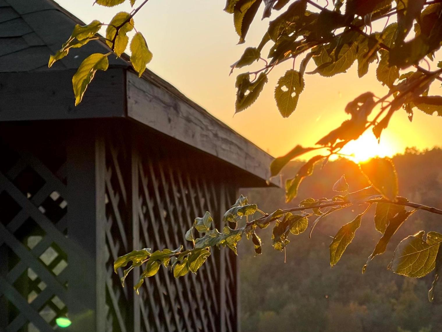 Vila Rodynnyi Maietok Family Estate Kamenec Podolský Exteriér fotografie